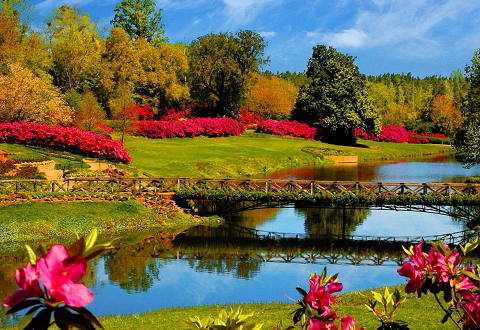 اجاره خودرو بهاره تقسیم اجاره ماشین تعطیلات سلطان احمد اجاره خودرو شهر قدیم استانبول